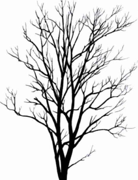 Tree Silhouettes Small Tree - ClipArt Best - ClipArt Best Tree With Birds Tattoo, Willow Tree Tattoos, Family Tree Photo, Family Tree Tattoo, Tree Project, Abstract Art Images, Tree Textures, Landscape Tattoo, Tree Mural