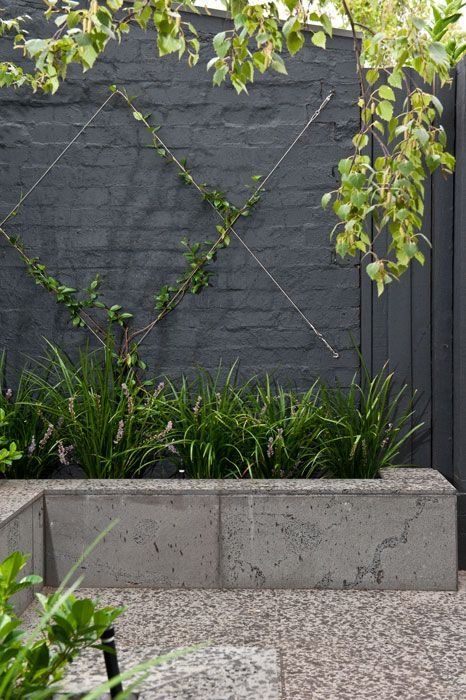 Black Garden Wall Ideas, Black Wall Garden, Black Garden Wall, Accented Wall, Black Shed, Shed Makeover, Townhouse Garden, Garden Wall Designs, Minimalist Garden