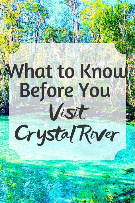 Crystal River Florida Things To Do, Crystal Lake Florida, Crystal Springs Florida, Rainbow River Florida, Florida Kayaking, Things To Do In Florida, Florida Vacation Spots, Crystal River Florida, Solo Trips