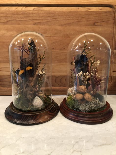 Find these glass garden cloche dome and others in store. See @Vintissima.decor for details Find beautiful home decor in our shop and see inventory @vintissima.decor Brandywine View Antiques Th-Sun 10-5 10k sq ft 1244 Baltimore Pike Chadds Ford, Pa 19317 Diy Cloche Ideas, Glass Dome Decor Ideas, Oddity Crafts, Bell Jar Decor, Cloche Art, Trinket Wall, Nature Terrarium, Entomology Decor, Garden Dome