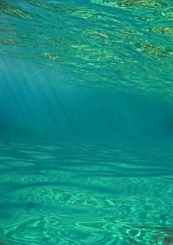 the ocean being empty like this is like a vacuole cause a vacuole has lots of space. Beachy Bathroom, Clear Blue Water, Deep Blue Sea, Teal Turquoise, Under Water, In The Ocean, Sea And Ocean, Aquaman, Ocean Life