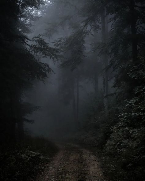 Forest Fairy Aesthetic, Spooky Woods, Nordic Aesthetic, Dark Naturalism, Gothic Photography, Dark Forest Aesthetic, Dark Fairycore, Black Metal Art, Dark Castle