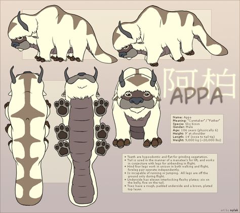 Avatar : Appa Reference Sheet by ~Nylak on deviantART Avatar Appa, Appa Avatar, Avatar Animals, Avatar Tattoo, Avatar Cosplay, The Last Avatar, Memes Lol, Avatar The Last Airbender Art, Reference Sheet