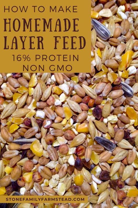 Aesthetic Chicken Coop, Aesthetic Farm Animals, Chicken Feed Recipe, Chicken Feed Diy, Chicken Layer Feed, Farm Life Aesthetic, Organic Chicken Feed, Aesthetic Chicken, Food For Chickens