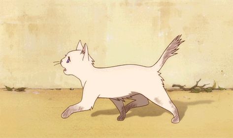 Bnha Imagines, Art Studio Ghibli, The Cat Returns, Cat Anatomy, Animation Sketches, Studio Ghibli Movies, Studio Ghibli Art, Ghibli Movies, Ghibli Art