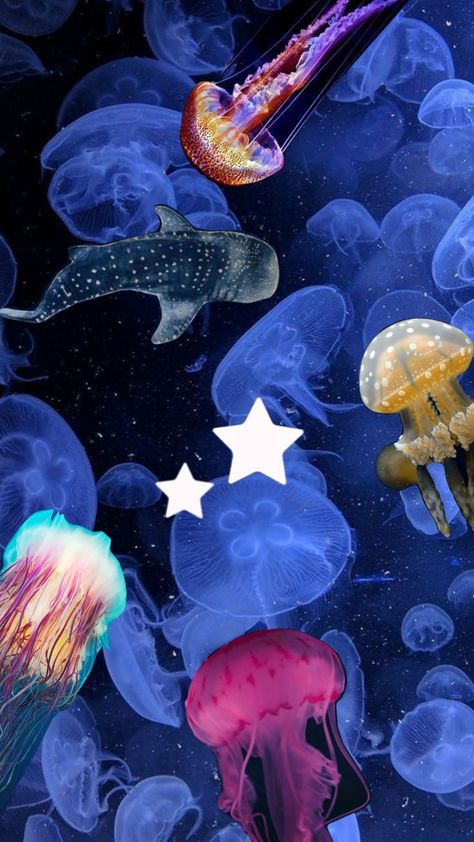 Sea Jellyfish, Jellyfish Pictures, Jellyfish Wallpaper, Aquarium Pictures, Fish Background, Sea Jellies, Blue Jellyfish, Jellyfish Art, Tanah Liat