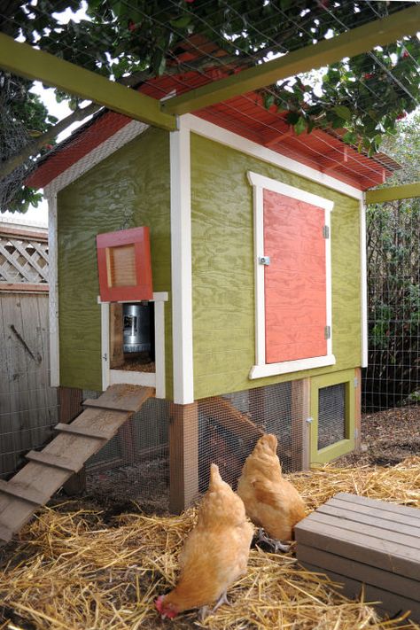 Raised on cedar posts, with an enclosed area underneath, this plywood coop has a foundation similar to a small shed. Around the coop is a fully-enclosed chicken yard made from hog wire. Get the tutorial at The Tangled Nest. Urban Chicken Coop, Urban Chicken Farming, Easy Chicken Coop, Diy Chicken Coop Plans, Urban Chickens, Coop Design, Best Chicken Coop, Raising Backyard Chickens, Chicken Coop Designs