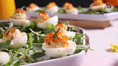 The ancient form of deviled eggs goes very far back in history as far back as Roman times. ... Trout Roe, Chocolate Chia Seed Pudding, Deviled Eggs Classic, Salmon Roe, Gluten Free Appetizers, Smoked Trout, Herbal Teas Recipes, Best Italian Recipes, Deviled Egg