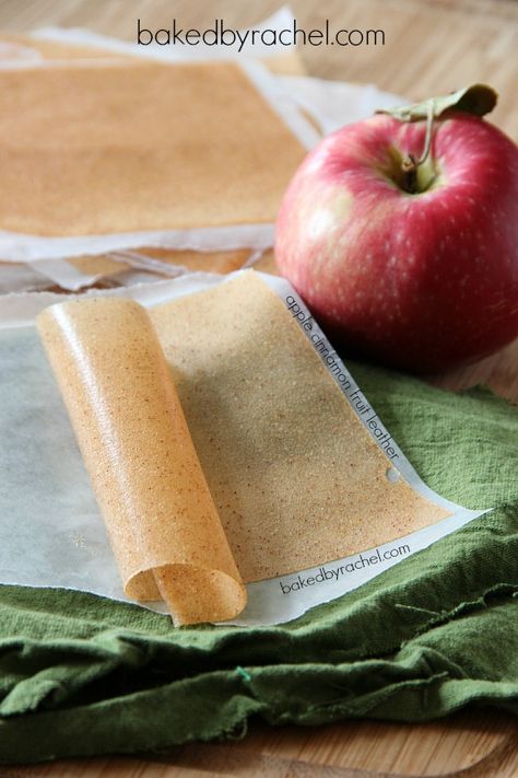 Apple Cinnamon Fruit Leather Apple Fruit Leather Recipe Oven, Apple Leather Recipe, Fruit Leather Recipe Oven, Fruit Leather Recipe, Fruit Leather, Pear Fruit, Dehydrated Fruit, Green Fruit, Apple Fruit