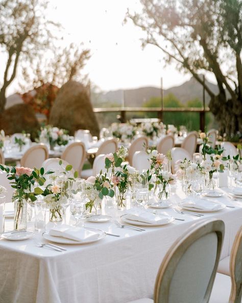 Peony & Plum on Instagram: “Loving the vibe of these dainty #budvases @jessicariekephoto @cielofarms @tessalynevents @premiere_rents @treslacatering @leahfournier” Long Wedding Tables, Bud Vases Wedding, Long Table Wedding, Peony Bud, Wedding Vases, Boho Wedding Decorations, Wedding Tables, Long Table, Mexico Wedding