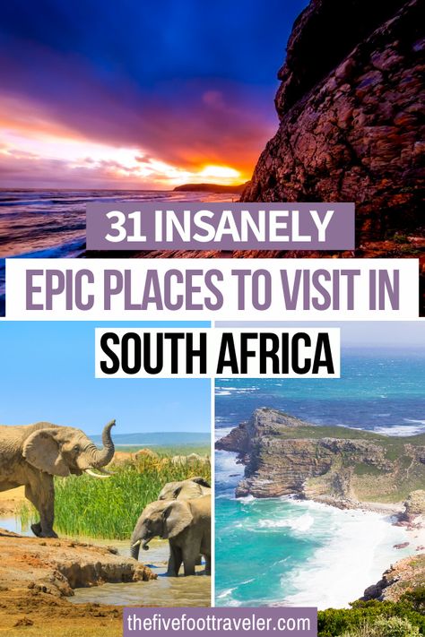 South Africa Trip, South Africa Bucket List, South Africa Itinerary, Africa Bucket List, South Africa Vacation, South Africa Travel Guide, Africa Holiday, Africa Itinerary, Africa Vacation