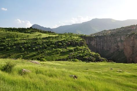 Grassy Hills of Rwanduz Grassy Hill, Grassy Field, Andes Mountains, Scenery Pictures, Art Journal Therapy, Fantasy Places, Wings Of Fire, Landscape Illustration, Environment Concept Art