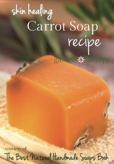 Carrot Soap Recipe, Garden Ideas Diy, Garden Ideas Diy Cheap, Shower Melts, Carrot Soap, Soap Suds, Healing Salve, Income Sources, Diy Soaps