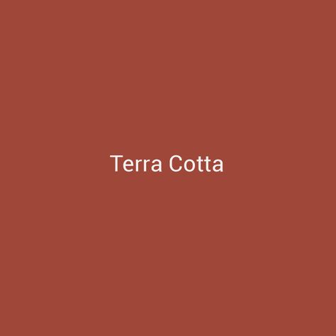 Terra Cotta Aesthetic, Bridger Steel, Terra Cotta Paint Color, Terracotta Color Palette, Terracotta Paint, Terra Cotta Color, Color Terracota, Living Room Wall Color, Porch Colors