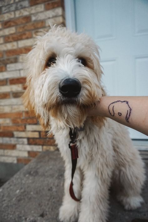 Tattoo of goldendoodle dog Dog Tattoo Goldendoodle, Golden Doodle Tattoo Outline, Goldendoodle Tattoo Outline, Doodle Dog Tattoo, Golden Doodle Tattoo, Goldendoodle Tattoo, Sticker Sleeve, Husband Tattoo, Golden Doodle Dog