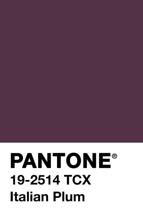 H n n H  on Twitter: "#ColourOfTheDay #August23rd @pantone #ItalianPlum #Italian flavours are coming #home... #MoodColour #ColourInspires… " Pantone Color Chart, Pantone Swatches, Pantone Palette, Pantone Colour Palettes, Color Me Beautiful, Color Inspo, Colour Board, Plum Color, Color Shapes