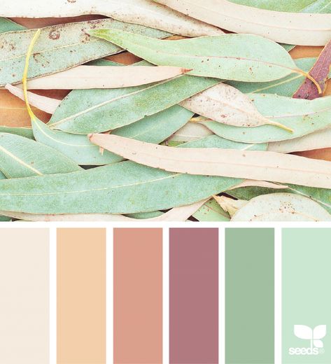 Color Nature Seeds Color, House Color, Colour Inspiration, Color Palate, Design Seeds, Theme Color, Color Palette Design, Color Balance, Color Harmony