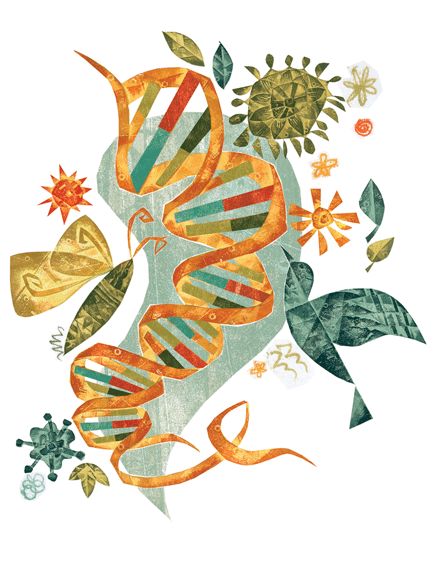 Lorraine Tuson, artist - amazing info graphic showing DNA. #ArtofHealing #VisualAmbassador Neuron Illustration, Dna Aesthetic, Dna Illustration, Dna Graphic, Genetics Art, Dna Drawing, Dna Artwork, Biology Drawing, Cell Art