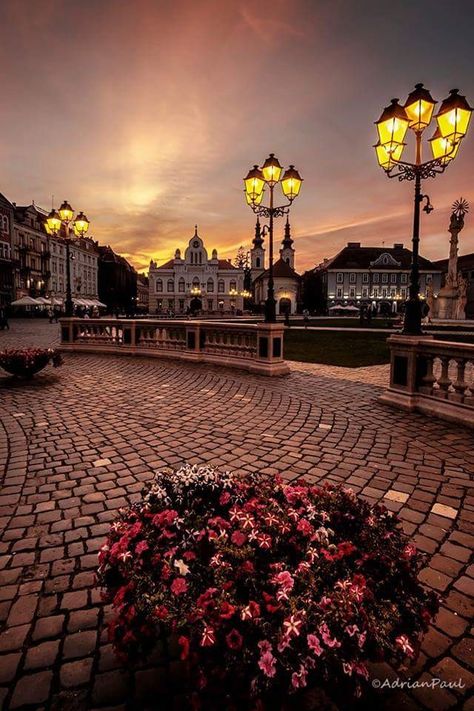 Timisoara Romania, Vlad Tepes, Small Cities, Beautiful Europe, Realistic Photos, World Travel Destinations, Country Aesthetic, Urban Architecture, Diy Canvas Art Painting