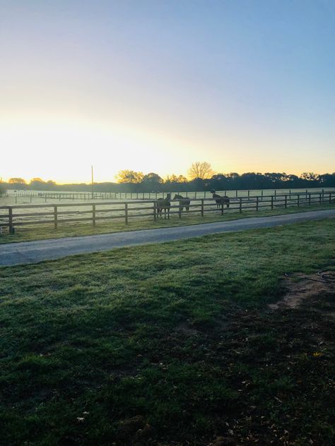 #horses #sunrise #pasture #mypic #mypin #horseaesthetic #sunriseaesthetic #sunrisephotography Horse Pasture, Dream Yard, Horse Aesthetic, Dream Barn, Sunrise Photography, Stables, Got Married, Horses, Yard