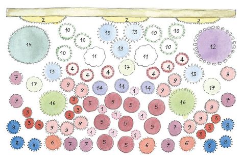 Catherine Janson Courtyard Border Ideas Plans & Design | Garden & planting Ideas | House & Garden Gravel Courtyard, Garden Planting Ideas, Small Garden Borders, Cottage Garden Plan, Small Yellow Flowers, Border Ideas, Garden Border, Vegetable Garden Planning, Famous Gardens