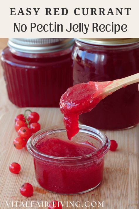 Easy Red Currant Jelly Recipe ( without pectin ) - Vital Fair Living Currant Jelly Recipe, Red Currant Jelly Recipe, Red Currant Recipe, Red Currant Jelly, Tomato Pickle Recipe, Swiss Home, Currant Recipes, Wild Garlic Pesto, Currant Jelly