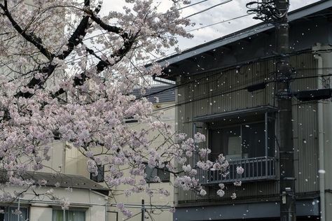 Sawako Core, Pinterest Feed, Dream Place, Japan Aesthetic, Aesthetic Japan, Japanese Aesthetic, Time Machine, Nature Aesthetic, Pretty Places