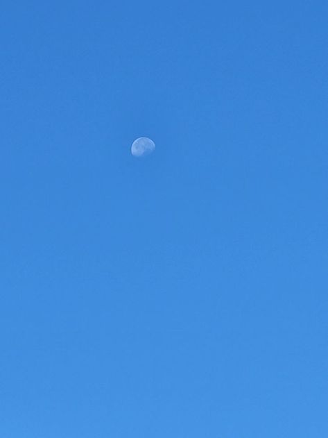 #daymoon #moon #hiking #nature #naturephotos #moonlight Moon In Daylight, Pretty Sky, Beautiful Sights, New World, Moon, Nature