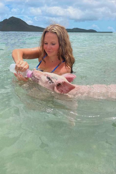 Swimming Pigs Bahamas, Cruise Photography Ideas, Bahamas Pigs, Swimming With Pigs, Summer Hair Inspo, Beach Bahamas, Cruise Photography, Pig Pics, Beach Pic Ideas