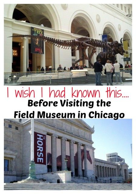 I wish I had known this before visiting the Field Museum in Chicago. Handy tips to know before you go! Chicago travle tips. Midwest Family Vacations, Field Museum Chicago, Chicago Travel Guide, Chicago Vacation, Chicago Trip, Chicago Museums, Visit Chicago, Field Museum, Chi Town