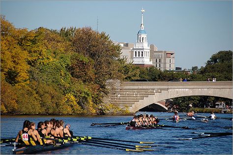 The first Head of the Charles took place in 1965 with only 100 boats. This year, 2000 boats will descend upon the Charles River. We spoke with Fred Schoch, the head of the Head of the Charles Regatta, which is happening this weekend. Row, row, row your boat! Boys In The Boat, Rowing Crew, Harvard Square, Sea To Shining Sea, Charles River, Boat Race, Virginia Beach Va, Living In New York, Weekend Fun