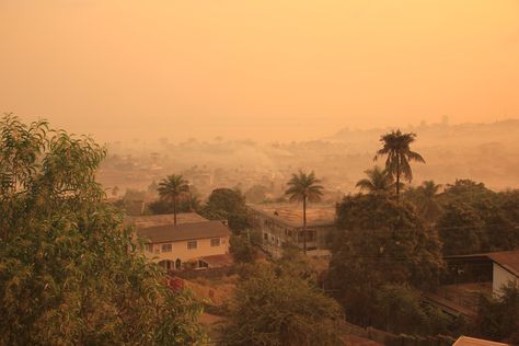 Living In Africa Aesthetic, Sierra Leone Aesthetic, Nairobi Sunset, Sierra Leone Culture, Kenya Landscape Photography, Hibiscus Sabdariffa, African Ancestry, Africa Photography, Frequent Flyer Miles