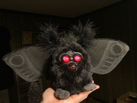 #furby #cursed Furby Cursed, Cursed Furby Aesthetic, Furby Boom, Pretty Images, Spooky Scary, Cute Stuffed Animals, Love Bugs, Pet Gifts, Moth