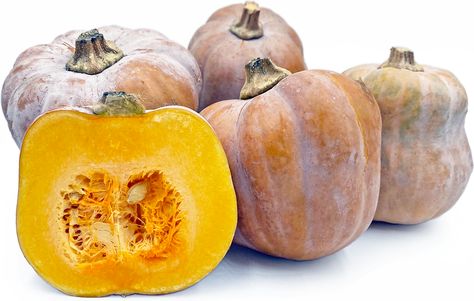 Koginut Squash Recipes, Koginut Squash, Currant Recipes, Gooseberry Recipes, Healthy Food Recipies, Choy Sum, Apricot Recipes, Comforting Soup, Bell Pepper Recipes