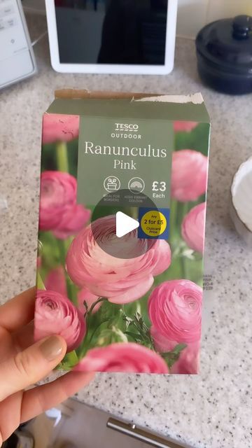 Leafy 🍃 on Instagram: "First time planting Ranunculus from bulb 🤞 cant wait for these to flower! 🌺 

#inmygarden #beginnergardening #gardentips #gardendesign #garden #gardening #ukgardens #givenatureahome #ranunculus" Ranunculus In Pots, Growing Ranunculus, Growing Ranunculus Flowers, Ranunculus Growing, Ranunculus Leaves, Ranunculus Companion Plants, Ranunculus Garden, Ranunculus, Flower Farm