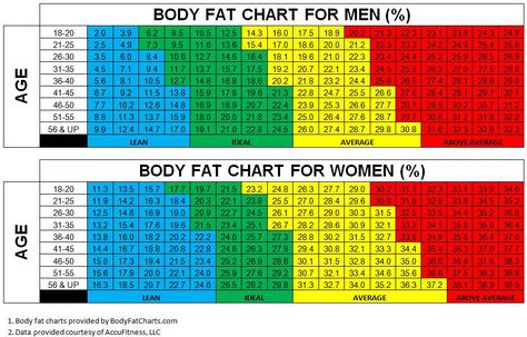 How To Interpret Your Body Fat Test Written by Calvin Sun Body fat testing is a great way to have an accurate metric for your body composition. There are many ways of getting your body fat tested, but most experts will agree that the DEXA (Dual-Energy X-ray Absorptiometry) scan is the most accurate testing technology available. Hydrostatic weighing was touted as the gold standard for many years, however, hydrostatic weighing is not able to account for bone density. As a result, hydrostatic te... Body Fat Chart, Body Fat Percentage Chart, Womens Body, Arm Workout Women, Body Fat Percentage, Visceral Fat, Reduce Body Fat, Fat Loss Diet, Ideal Weight