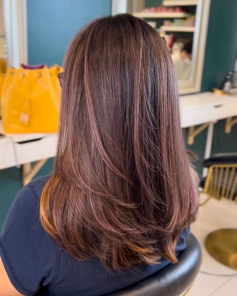 Glossy Hair Color, Haircuts For Frizzy Hair, Face Framing Hair, Brown Hair Inspo, Hair Color Streaks, Glossy Hair, Hair Treatments, Stylish Haircuts, Keratin Hair