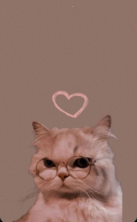 Pfp Cats, Fantasy Future, Cats Cuddling, Cats Pfp, Wallpaper Cats, Cats In Love, Wild Animal Wallpaper, New Tesla, Cats Memes