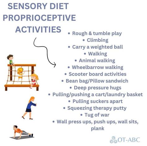 OT-ABC on Instagram: "The proprioceptive system is located in our muscles and joints. It provides us with a sense of body awareness and controls force and pressure. The proprioceptive system also has an important regulatory role in sensory processing as proprioceptive input can help to calm the body and promotes regulation. In one week, I’m completing a webinar with @debbiecullinane_ _ where I will be discussing sensory processing and some of the difficulties associated with SI dysfunction, I Si Dysfunction, Ece Resources, Neuro Divergent, Sensory Strategies, Ece Activities, Proprioceptive Activities, Therapy Thoughts, Sensory Regulation, Sensory Seeking