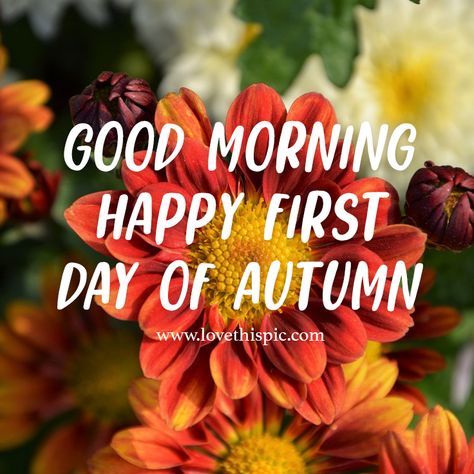 First Day Of Fall Quotes, Wednesday Pictures, Autumn Pictures, Happy First Day Of Fall, Good Morning Facebook, Fall Quote, First Day Of Autumn, Good Morning My Friend, Quote Pictures