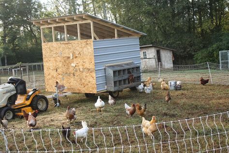 The Egg Mobile - chicken tractor from a free jetski trailer Egg Mobile, Cow Patties, Beef Farming, Portable Chicken Coop, Chicken Pen, Chicken Tractors, Chicken Coup, Chicken Tractor, Chicken Run