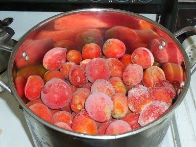 5 Acres & A Dream: It's Time To Defrost Those Tomatoes Tomatoes Freezing, Frozen Tomatoes, Canning Storage, Freezing Veggies, Freezing Tomatoes, Gardening Food, Fresh Tomato Recipes, Outdoors Indoors, Canning Vegetables