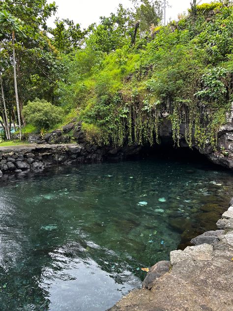 #waterhole #swimminghole #clearwater #water #swim #pretty #nature #aesthetic #summer Summer Water Aesthetic, Water Hole Aesthetic, Waterhole Aesthetic, Pretty Nature Aesthetic, Swimming Hole Aesthetic, Creek Swimming Aesthetic, Swimming In Waterfalls Aesthetic, Swimming Underwater Aesthetic, Open Water Swimming Aesthetic