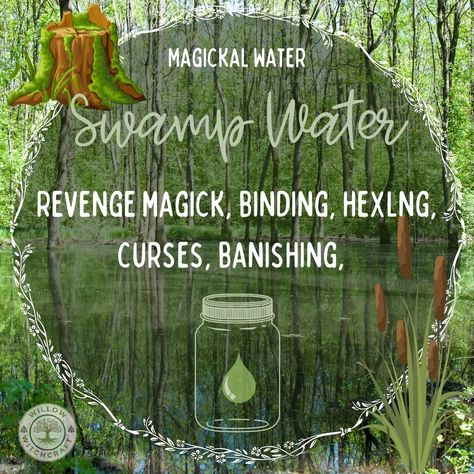 Willow Witchcraft Swamp Witchcraft, Earth Witchcraft, Magical Bottle, Water Witchcraft, Water Magick, Spiritual Water, Witchcraft Knowledge, Water Spells, Water Blessings