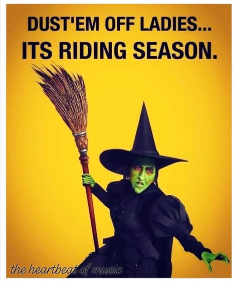 First Day Of October Pictures, Horror Quotes, Happy Halloween Pictures, Purple Witch, Halloween Quotes, Halloween Images, Funny Cartoon Quotes, Theme Halloween, Wicked Witch