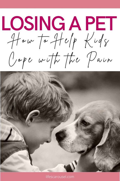 Coping With Pet Loss Dogs, How To Cope With Loss Of Dog, Losing A Pet Quotes, Dog Passing, Pet Psychic, Pet Loss Dog, Mother Hood, Loss Of Pet, Coping With Loss