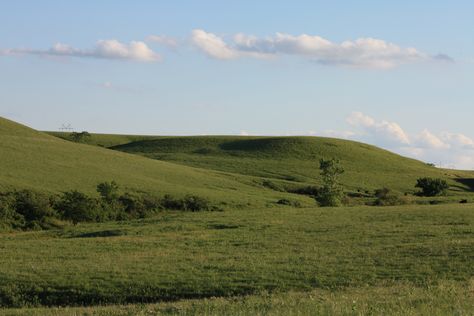 The Flint Hills is over five million acres of native tallgrass prairie that has never been plowed. Grass Field Aesthetic, Tallgrass Prairie, Flint Hills, Grass Valley, Type Shi, Green Hills, Mac Wallpaper, Grass Field, Pretty Landscapes