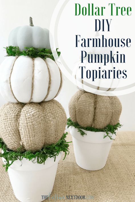 Pumpkin Topiary Diy, Pumpkin Topiaries, Diy Farmhouse Decoration, Topiary Diy, Strašidelný Halloween, Diy Home Decor For Apartments, Pumpkin Topiary, Diy Fall Decor, Fall Deco