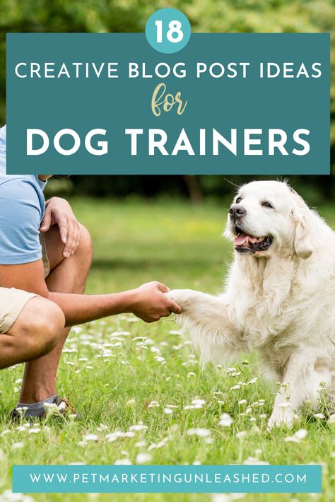 18 Creative Blog Post Ideas for Dog Trainers | Pet Marketing Unleashed Dog Training Marketing, Dog Blog Post Ideas, Dog Content Ideas, Dog Trainer Aesthetic, Pet Marketing, Dog Training Business, Dog Instagram, Pet Market, Training Ideas