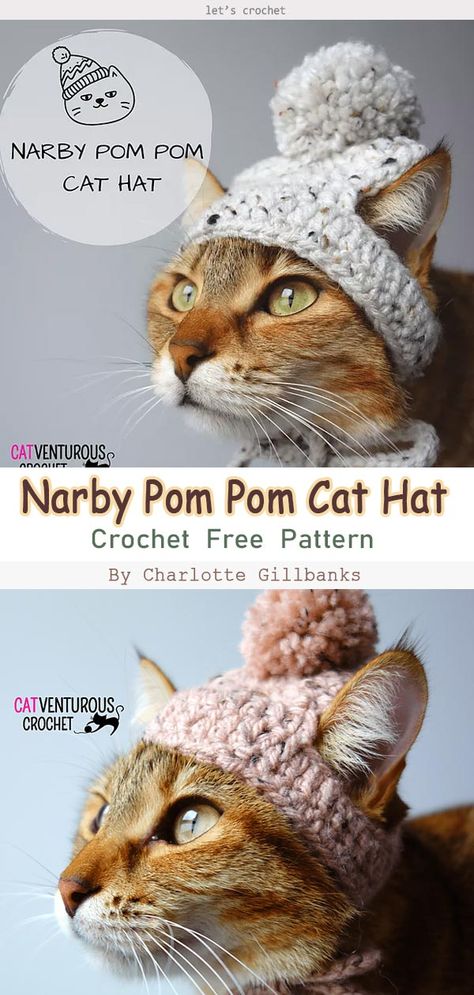 Crochet For Kittens, Crochet Stuff For Cats, Crochet Cat Outfits, Crocheted Cat Pattern, Crochet Cat Patterns Free, Crochet Things For Cats, Crochet Cat Sweater Free Pattern, Crochet Hats For Cats, Crochet For Cats